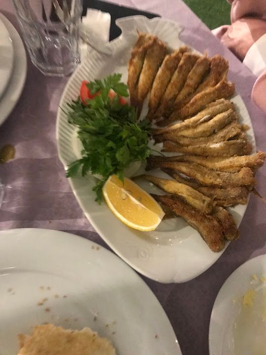 Yorum fotoğrafı 4