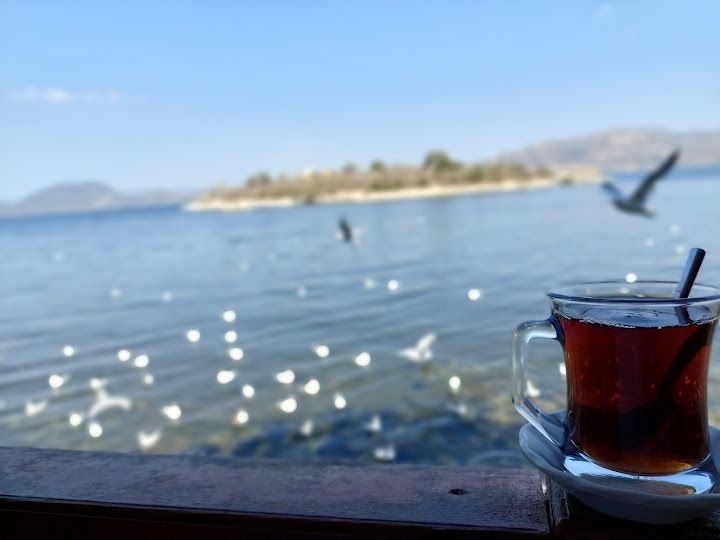 Fotoğraf 42