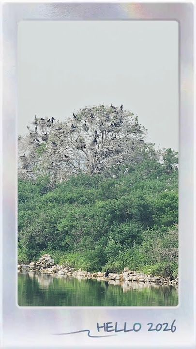 Fotoğraf 35