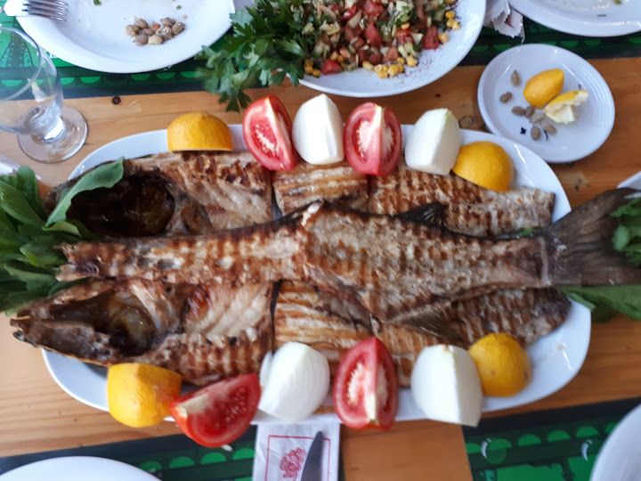 Fotoğraf 47