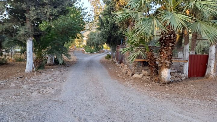 Yorum fotoğrafı 3