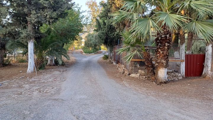 Yorum fotoğrafı 4