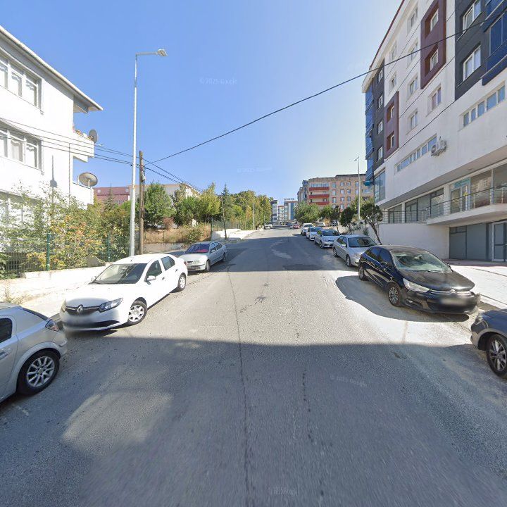 Fotoğraf 8