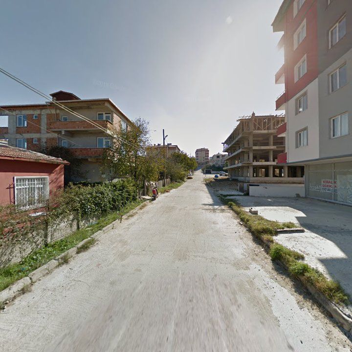 Fotoğraf 6