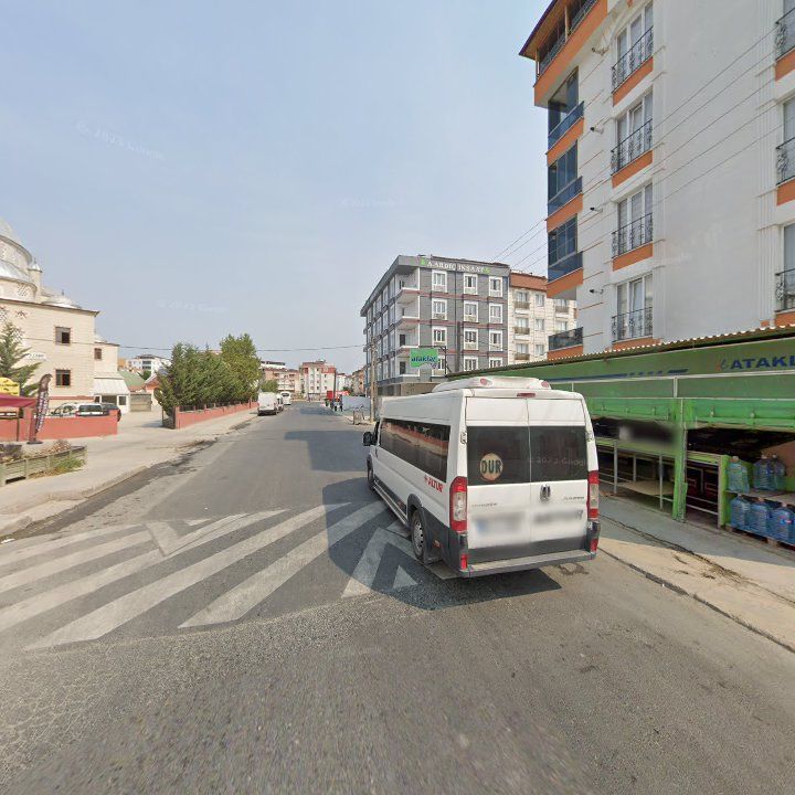 Fotoğraf 7
