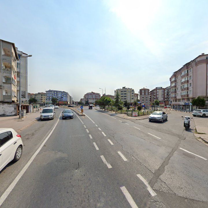 Fotoğraf 12