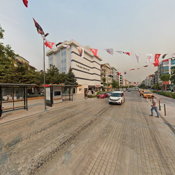 Fotoğraf 8