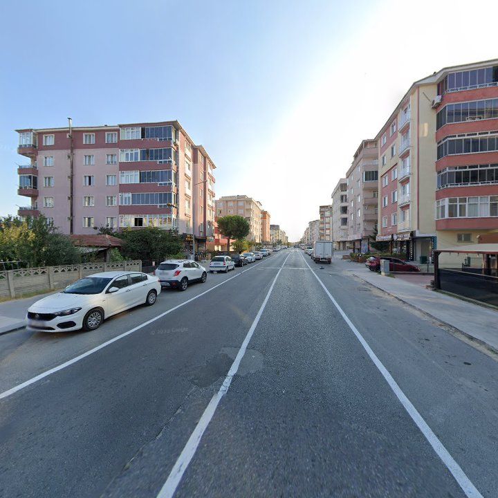 Fotoğraf 12