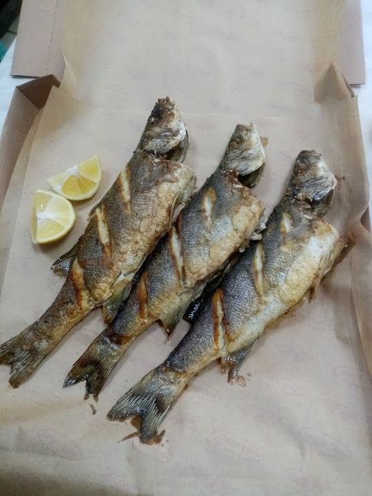 Çerkezköy Balıkçılık