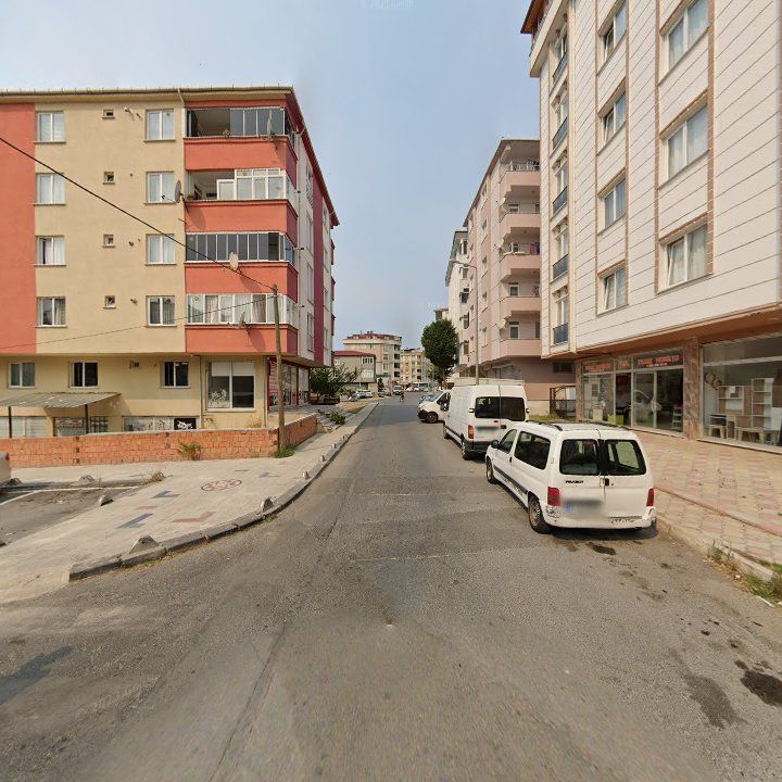 Fotoğraf 6