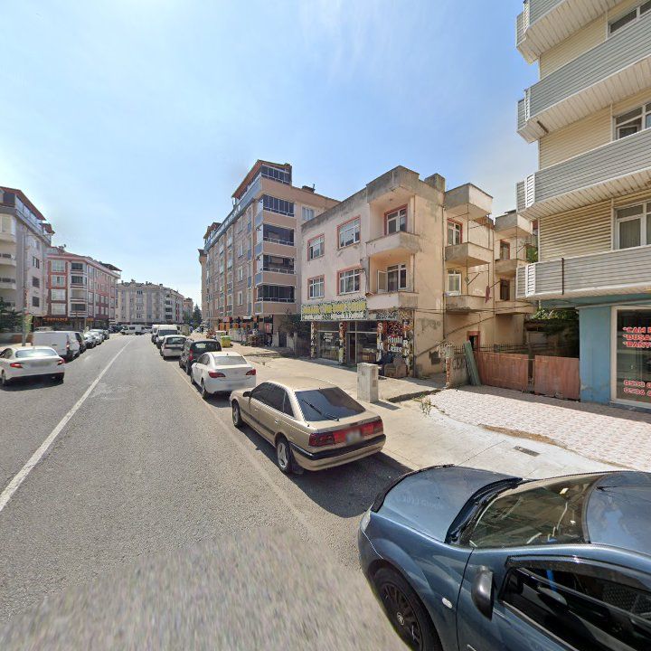 Fotoğraf 5