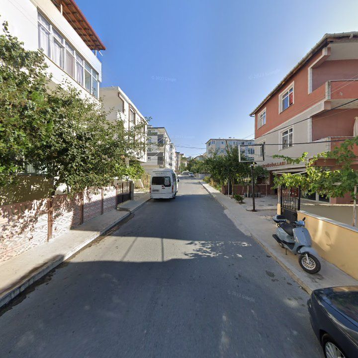 Fotoğraf 6