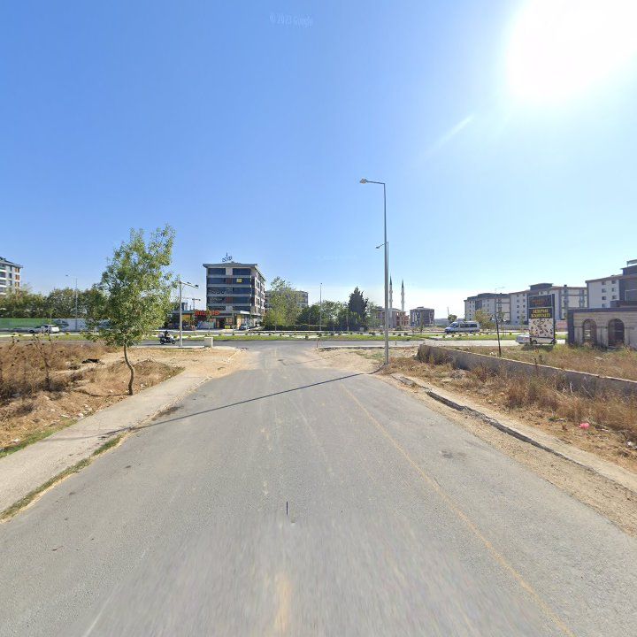 Fotoğraf 7