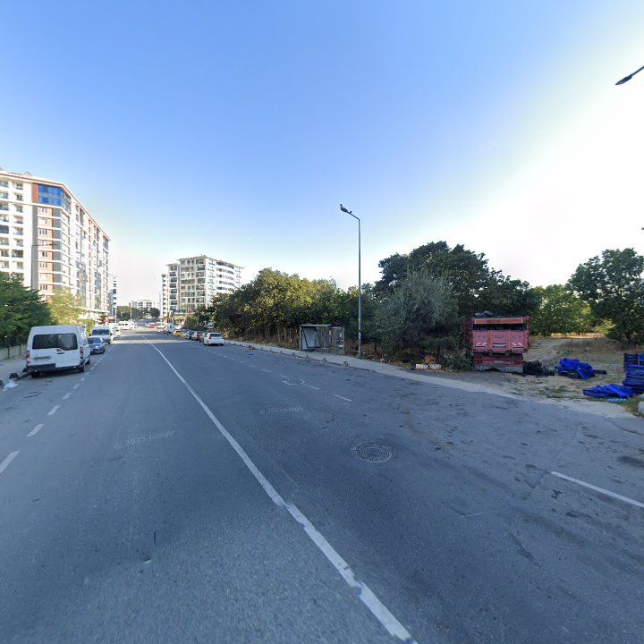 Fotoğraf 8