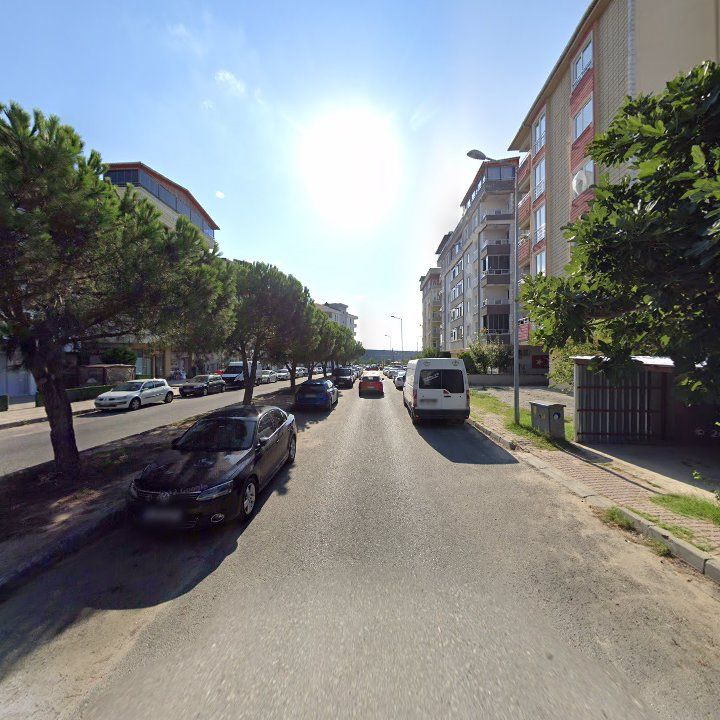 Fotoğraf 11