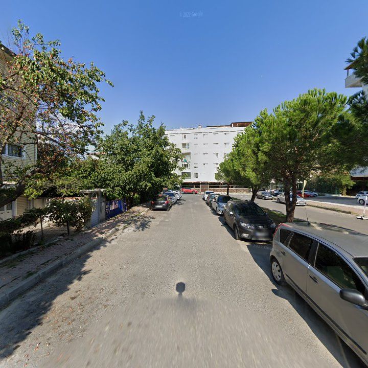 Fotoğraf 9