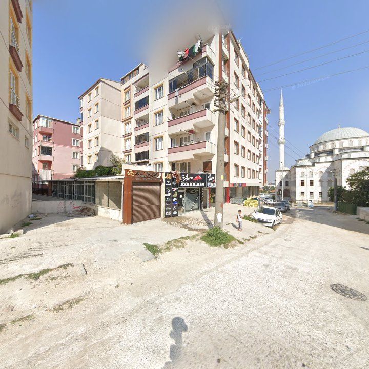 Fotoğraf 3