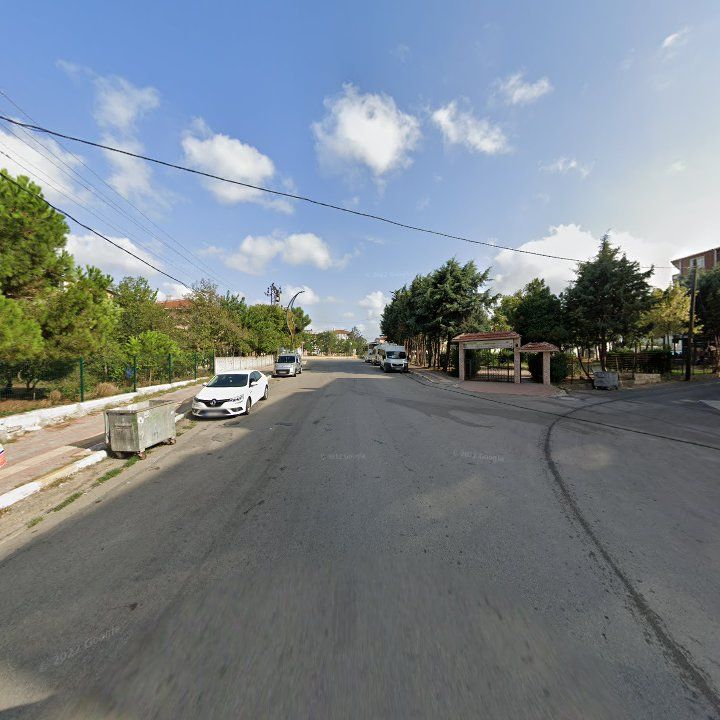Fotoğraf 11