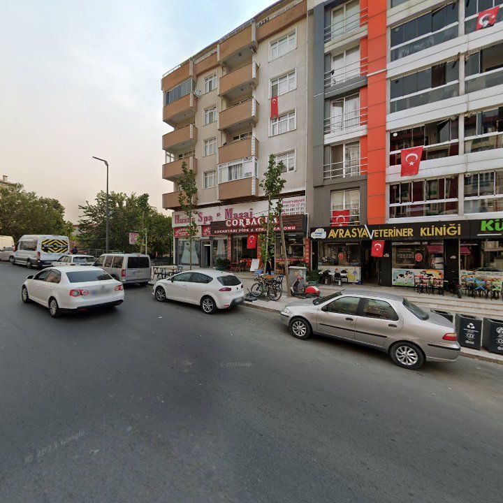 Fotoğraf 7