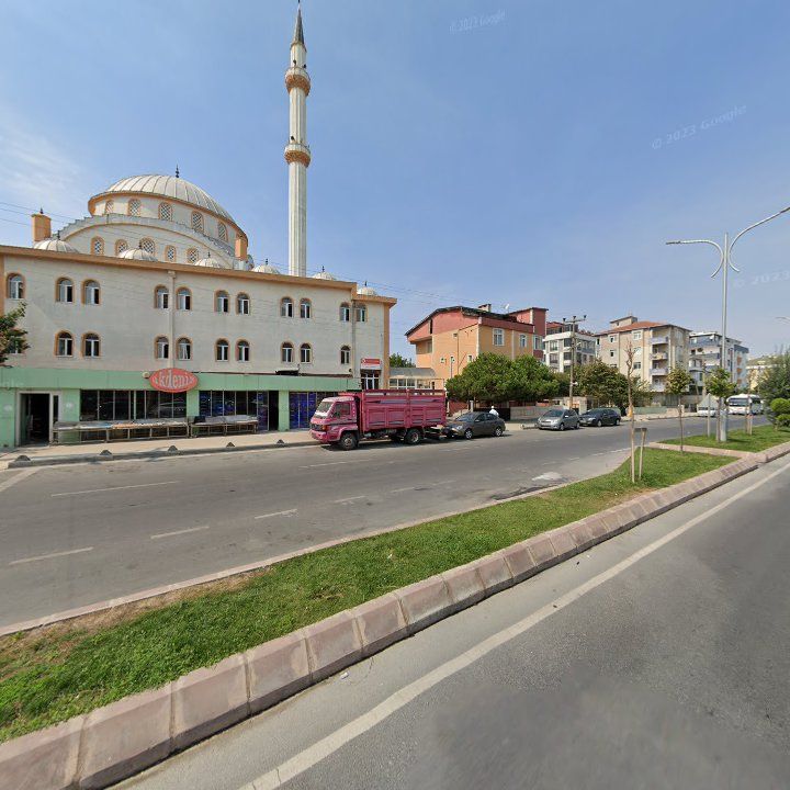 Fotoğraf 8