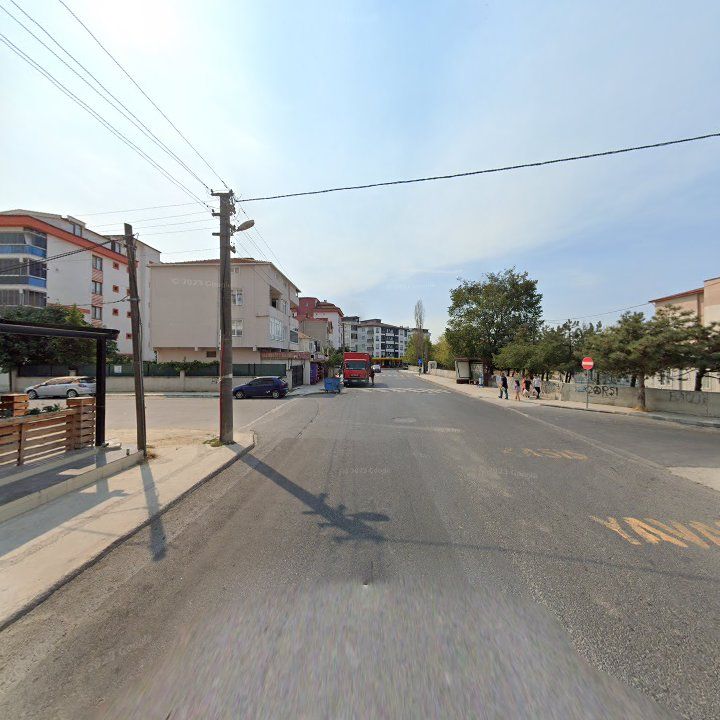 Fotoğraf 8