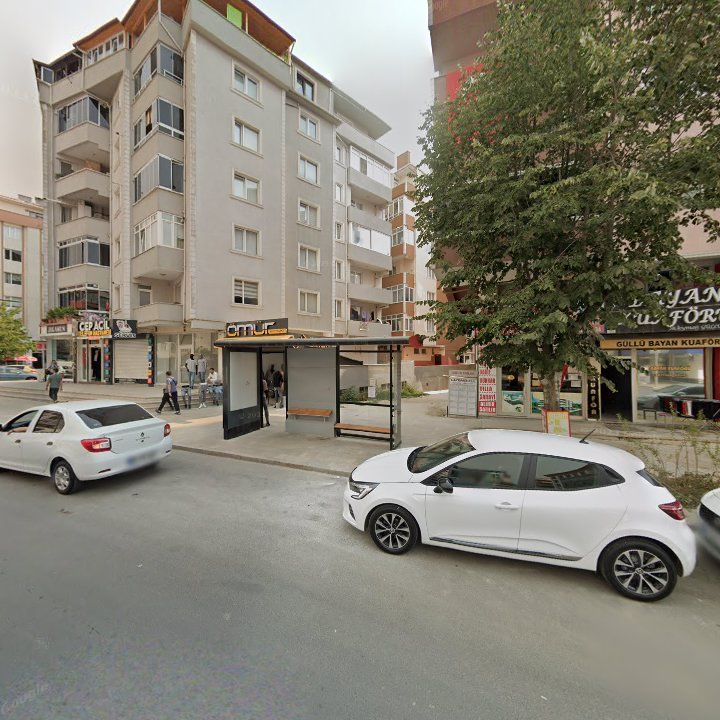 Fotoğraf 10