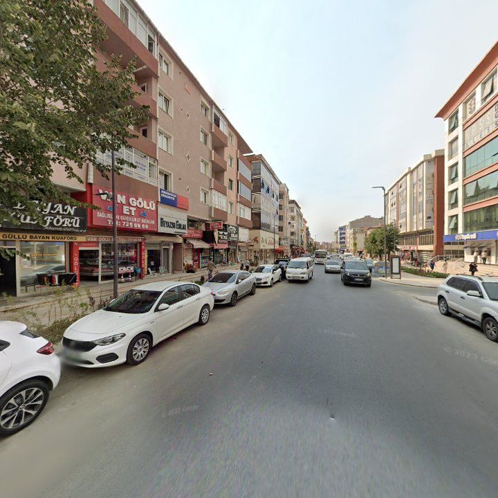 Fotoğraf 11