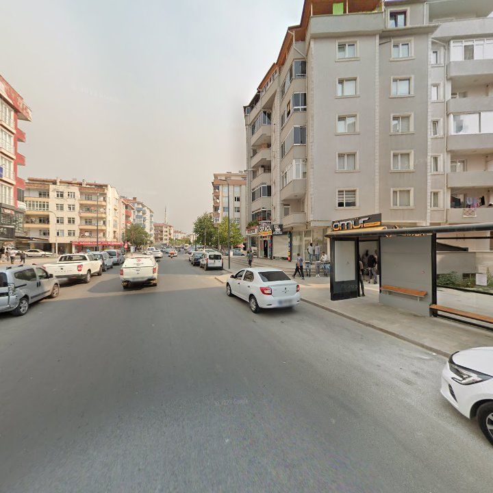 Fotoğraf 8