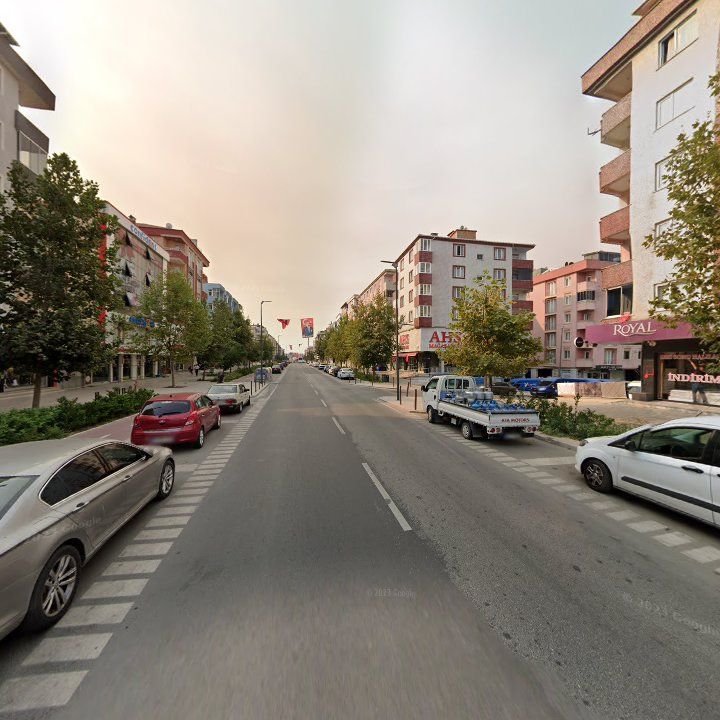 Fotoğraf 8