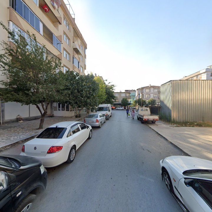 Fotoğraf 7