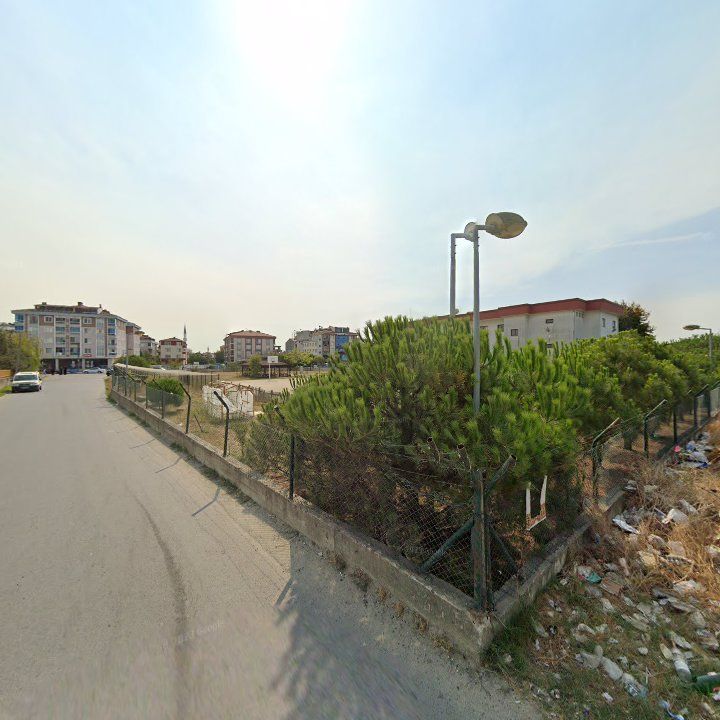 Fotoğraf 9