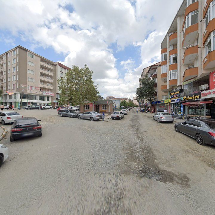 Fotoğraf 10