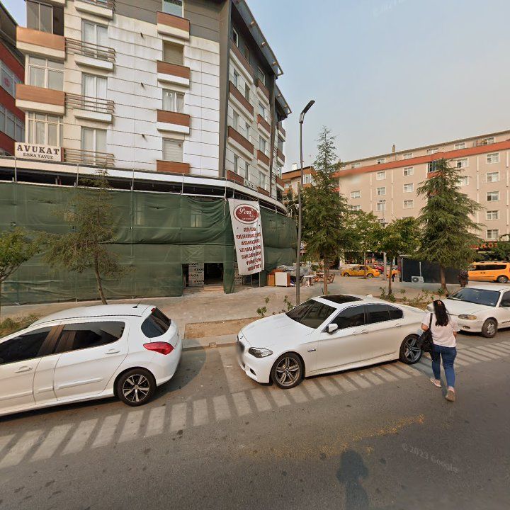 Fotoğraf 12