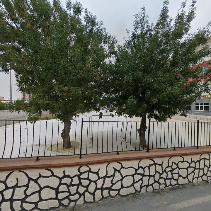 Fotoğraf 9