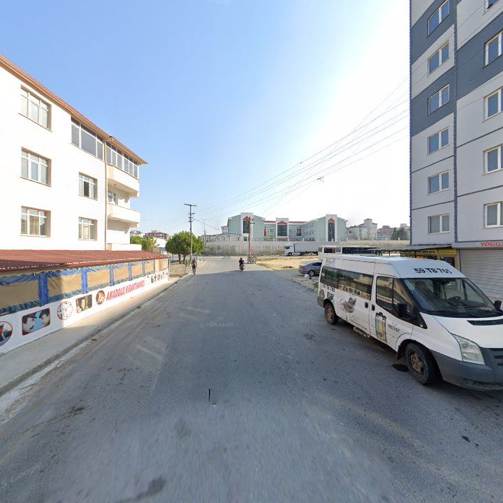 Fotoğraf 8