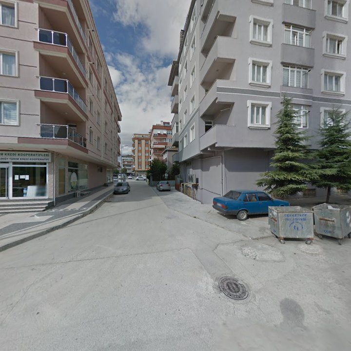 Fotoğraf 9