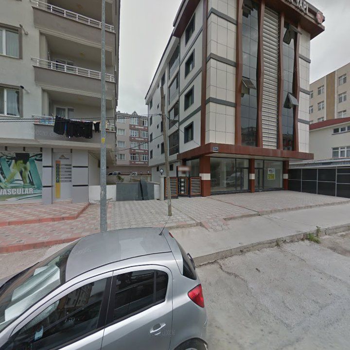 Fotoğraf 10