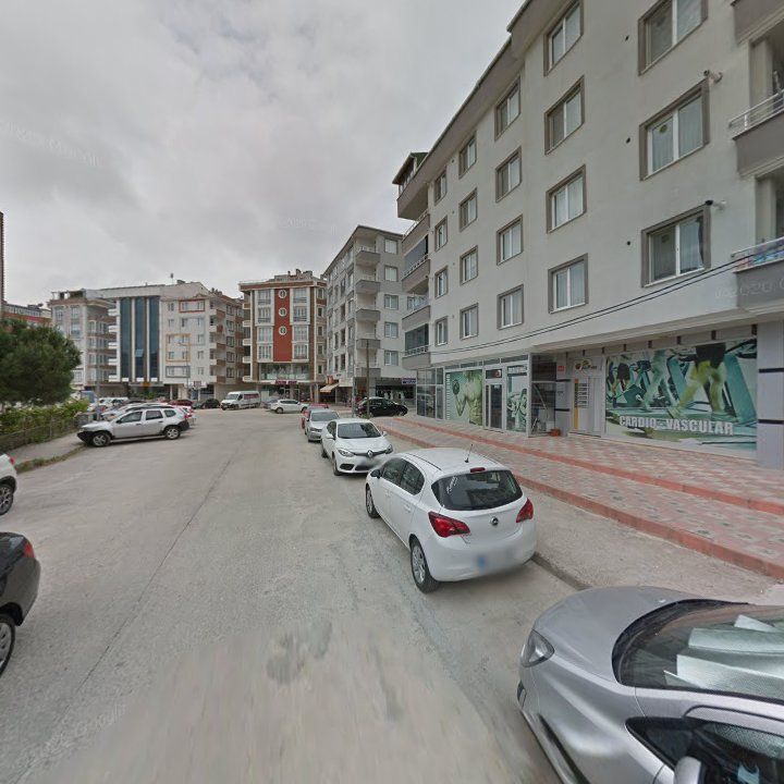 Fotoğraf 13