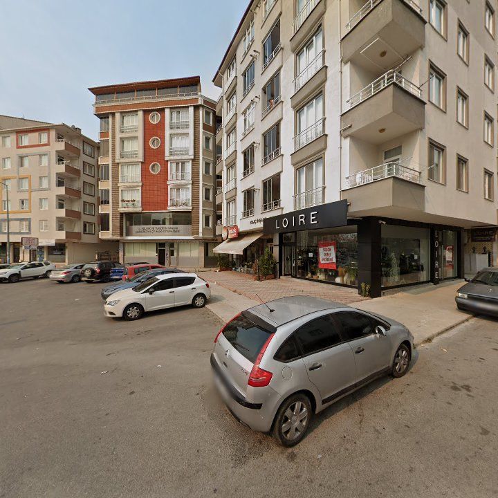 Fotoğraf 12