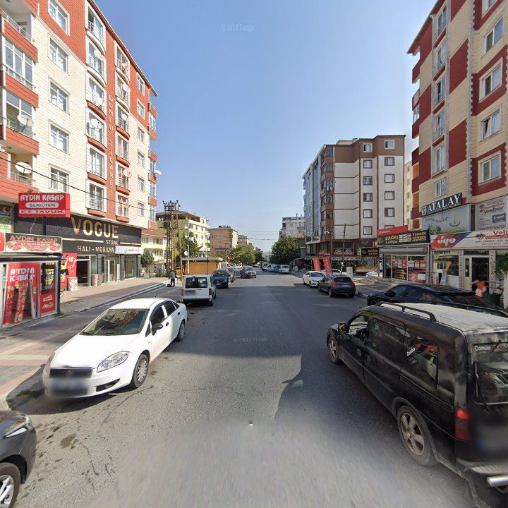 Fotoğraf 7