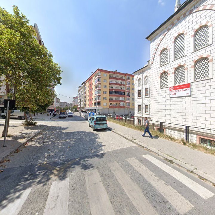 Fotoğraf 8