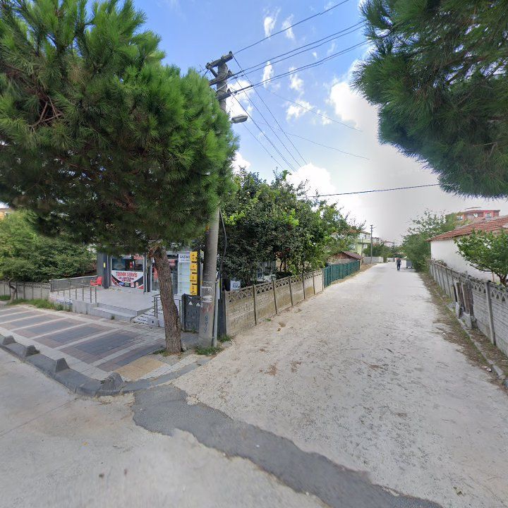 Fotoğraf 7