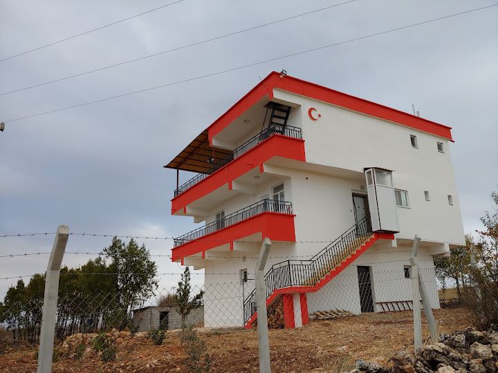 Vedat Yalçın