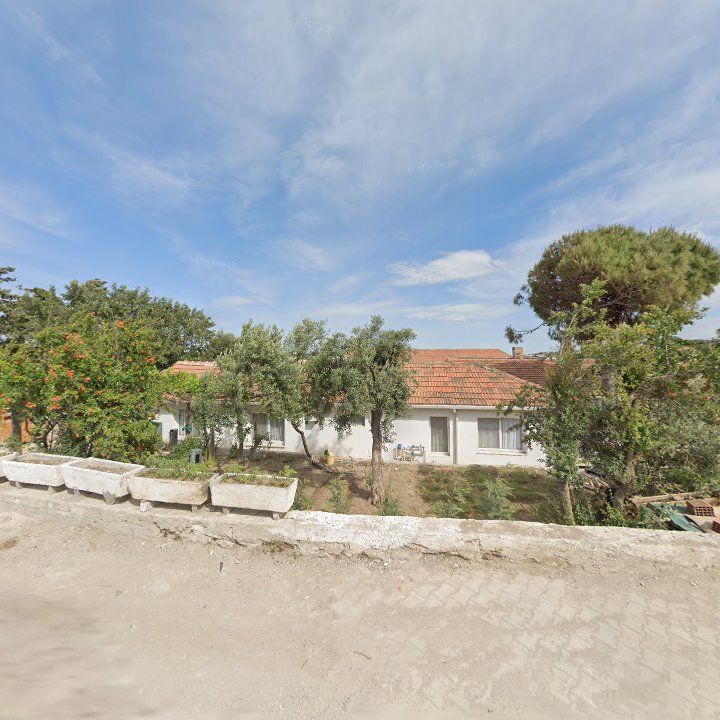 Fotoğraf 6