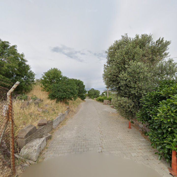 Fotoğraf 11