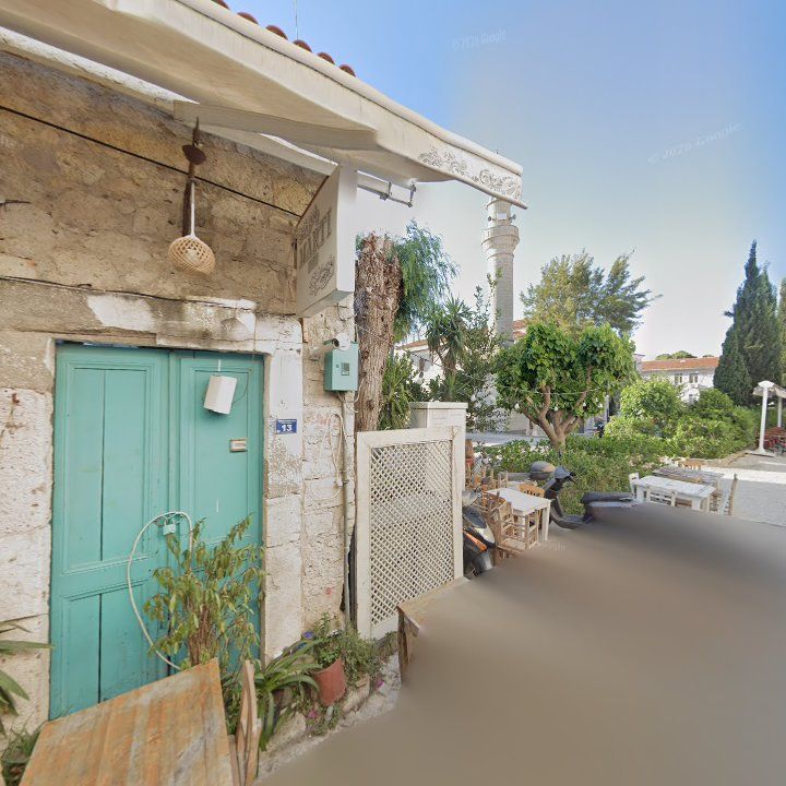 Fotoğraf 7
