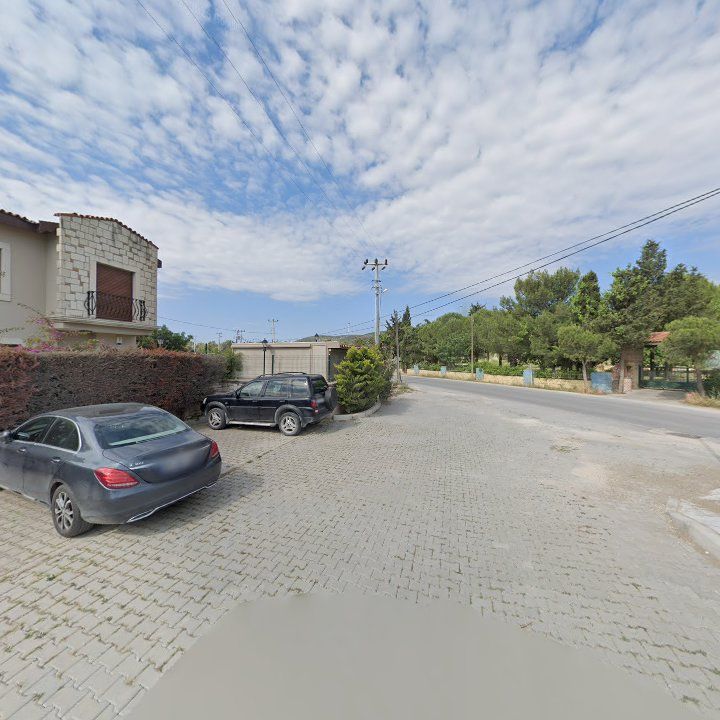 Fotoğraf 10