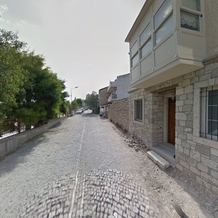 Fotoğraf 7