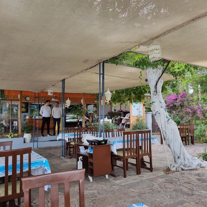 Ali'nin Yeri Ildır Balık Restoranı