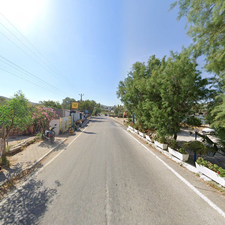Fotoğraf 10